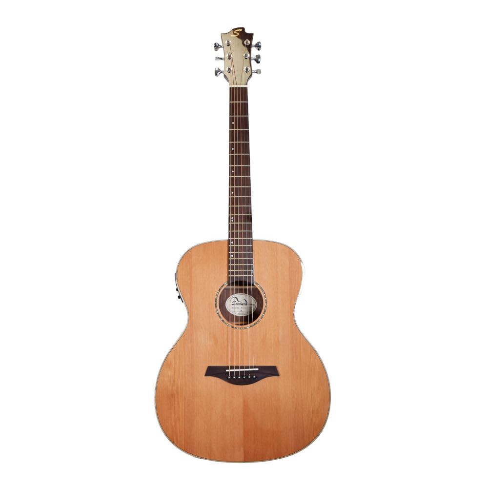 Acoustic Guitar Cedar & Rosewood Electro