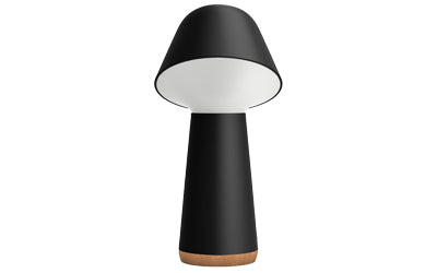 Home & Garden > Lighting & Accessories